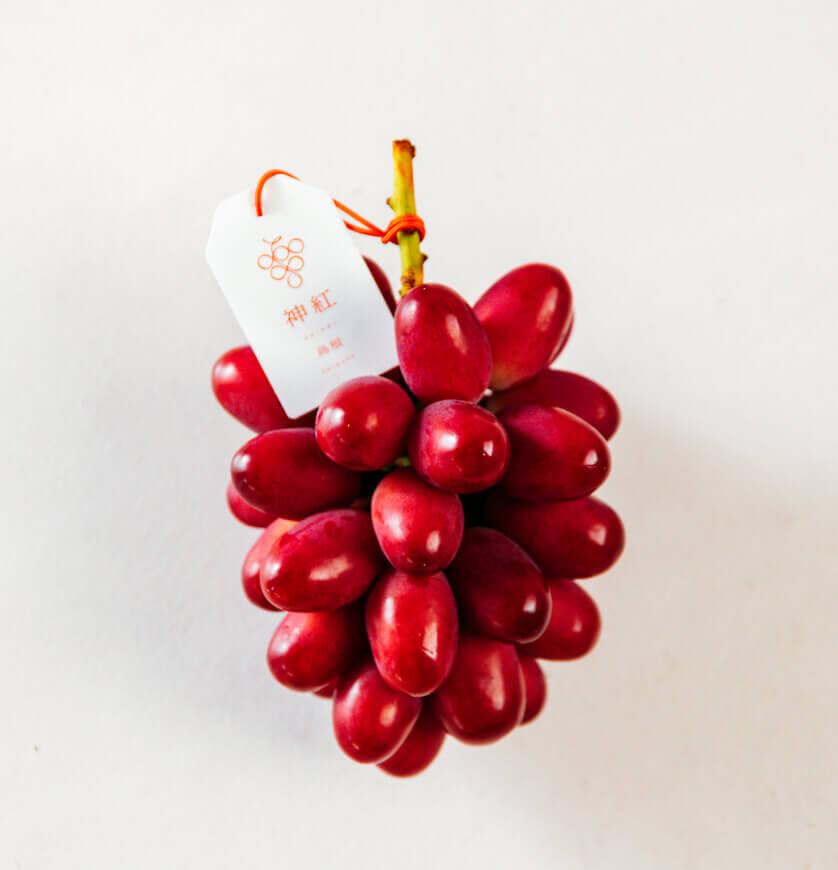 神々にささげる紅いぶどう 神紅 SHINKU 島根県オリジナルの品種 農業推進 雇用 育種